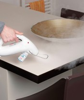 Polti Cimex Eradicator Plus
